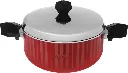 Teflon Pot with Stainless Steel Lid, 22 cm