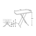 PERSONAL ADJUSTABLE HEIGHT TABLE