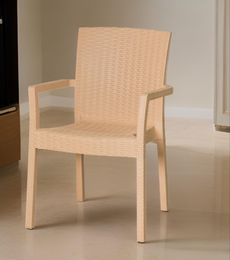 [PF502] Rato Outdoor Plastic Garden Chair